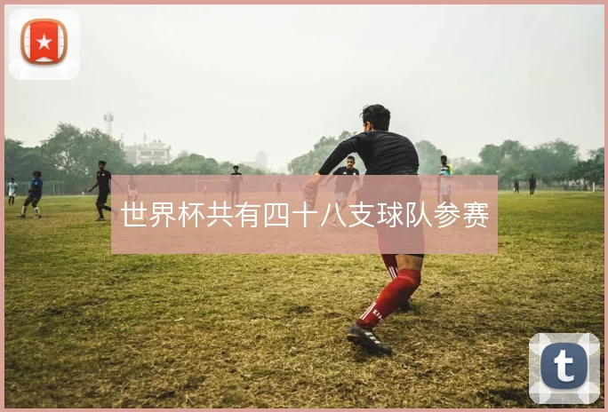 世界杯共有四十八支球队参赛